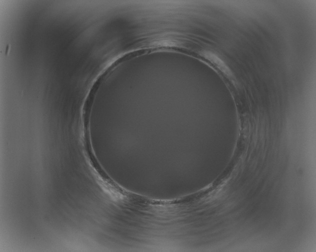 X0000070171031200605261150