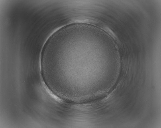X0000070171036200605261150