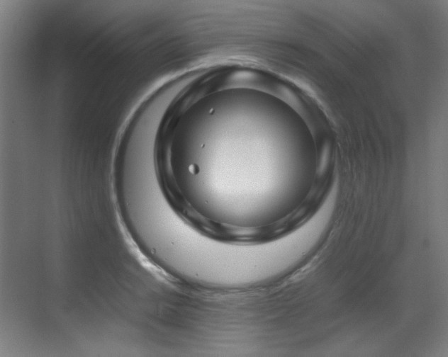 X0000070171038200605261150