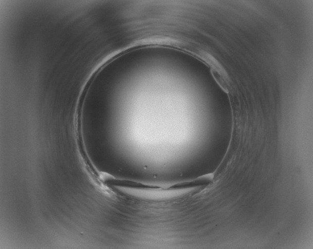 X0000070171044200605261151
