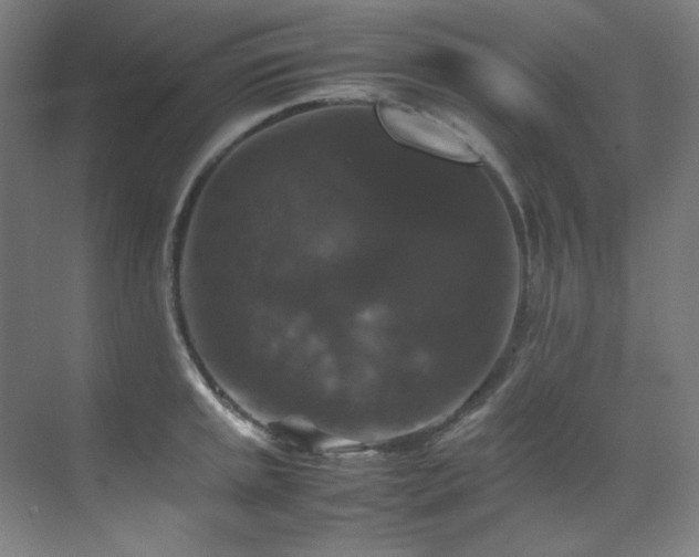 X0000070171045200605261151
