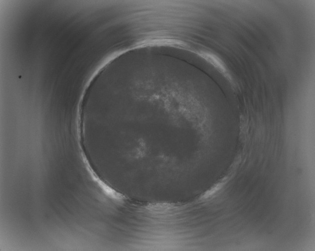 X0000070171046200605261151