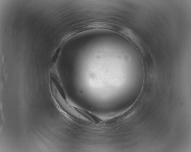 X0000070171049200605261151
