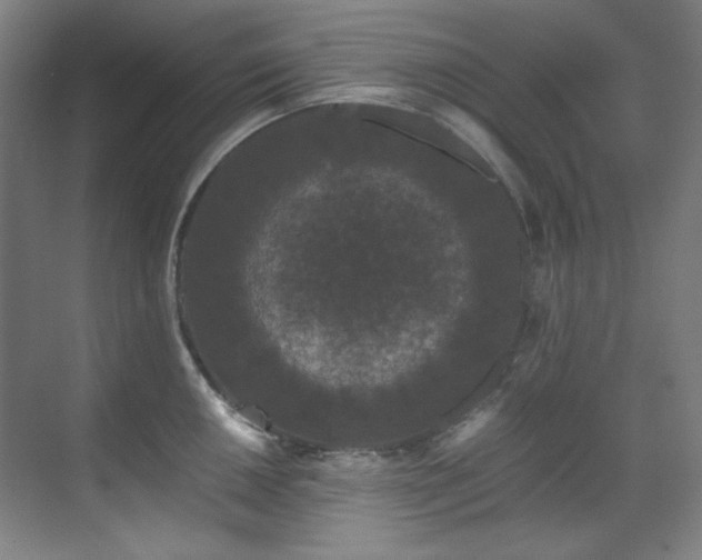 X0000070171050200605261151