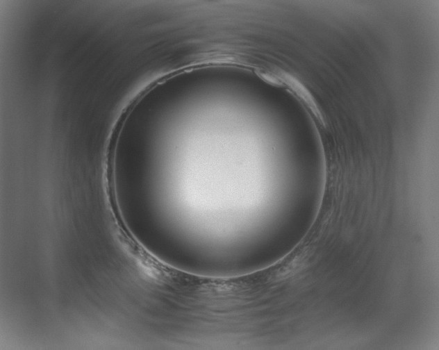 X0000070171051200605261151