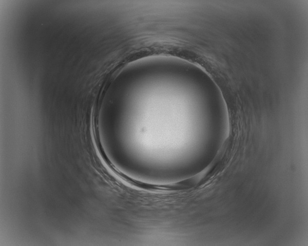 X0000070171061200605261150