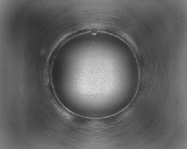 X0000070171075200605261150