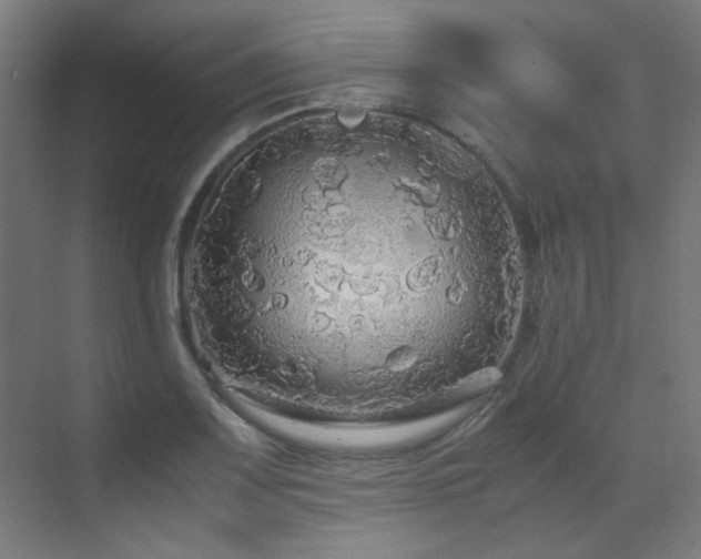 X0000070171083200605261149