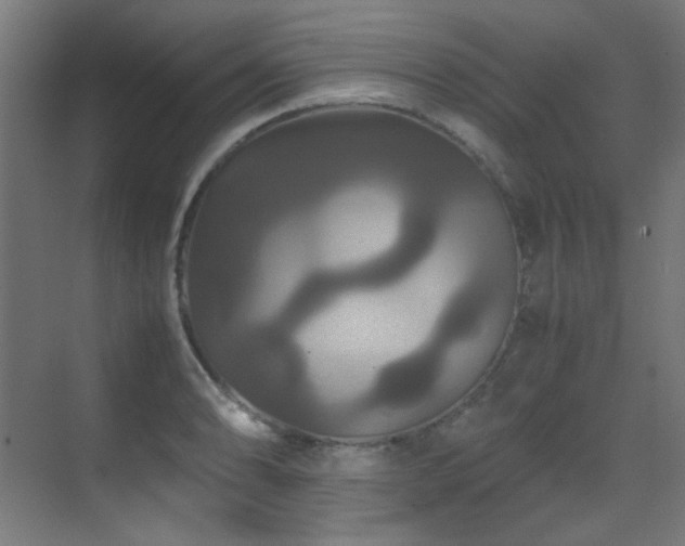 X0000070171086200605261149