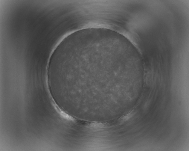 X0000070171094200605261149