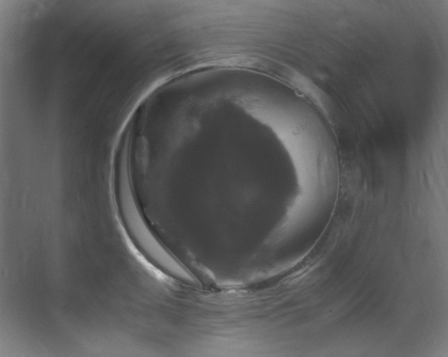 X0000070171095200605261149