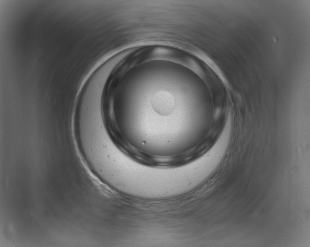X0000070171101200605261149