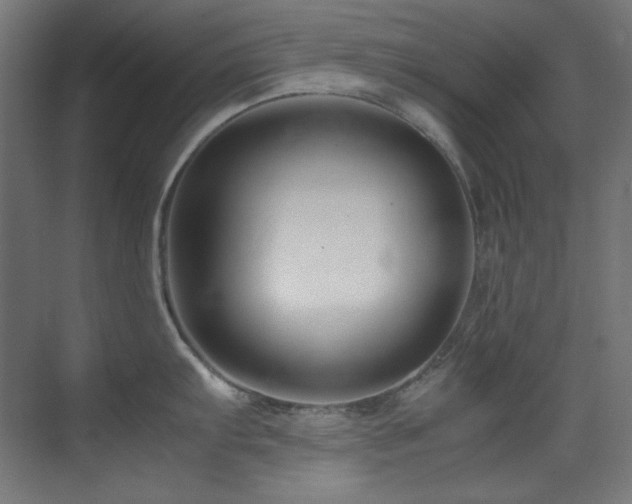 X0000070171103200605261149
