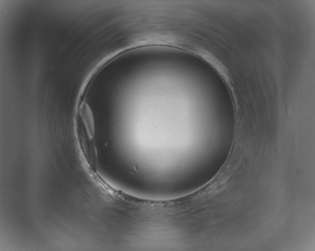 X0000070171104200605261149
