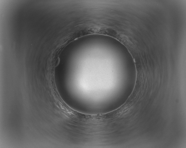 X0000070171105200605261148