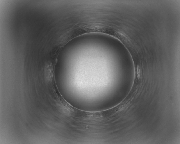 X0000070171107200605261148