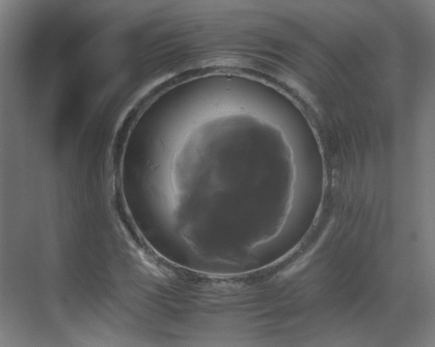 X0000070171117200605261149