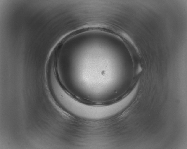 X0000070171124200605261149
