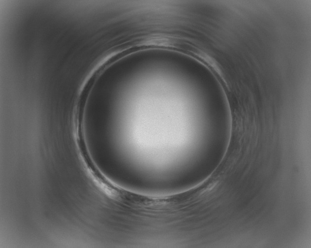X0000070171131200605261149