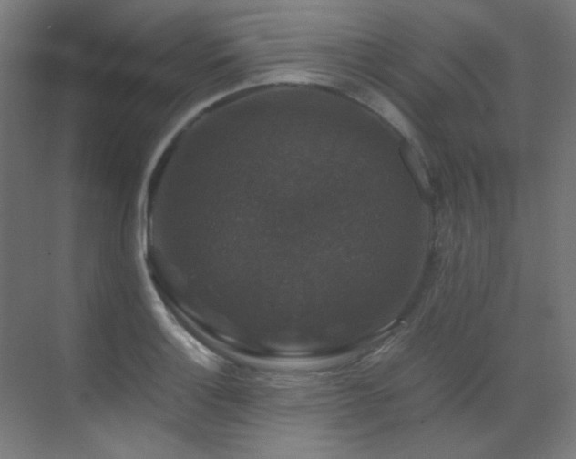 X0000070171132200605261149