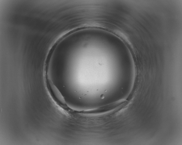 X0000070171133200605261149