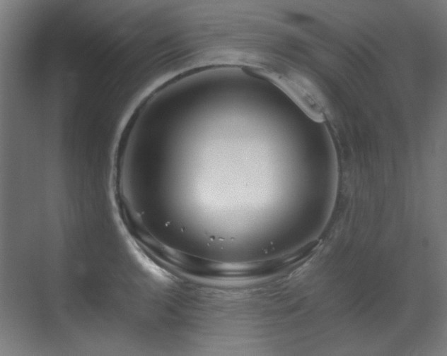 X0000070171136200605261149