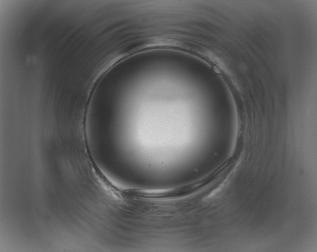 X0000070171137200605261149