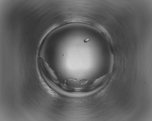 X0000070171138200605261149