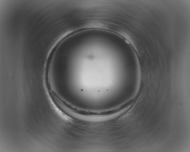 X0000070171139200605261149
