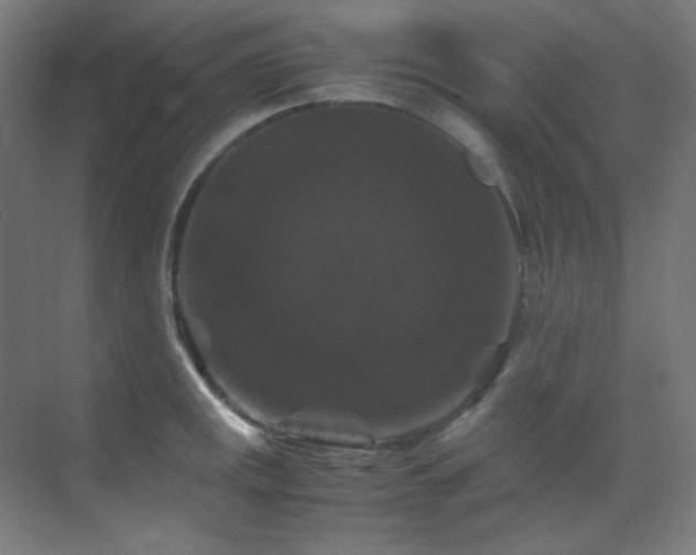 X0000070171141200605261149