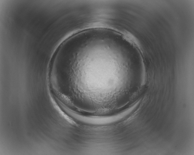 X0000070171142200605261149