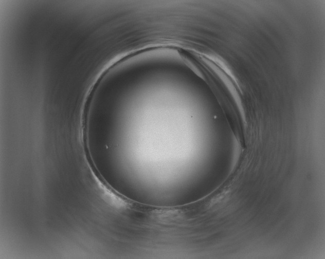 X0000070171143200605261149