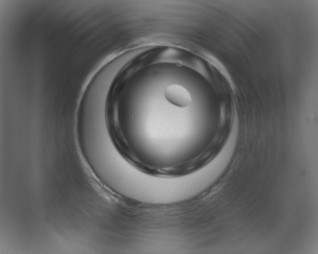 X0000070171146200605261149