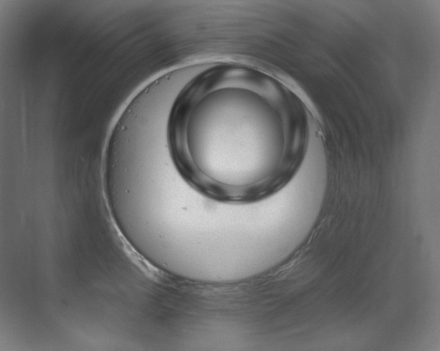 X0000070171148200605261149