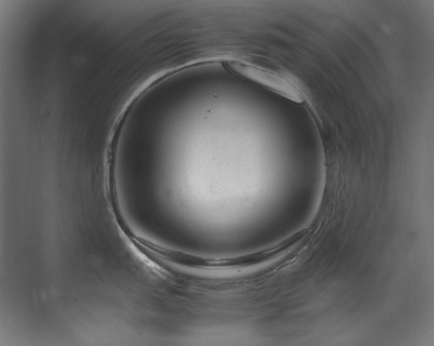 X0000070171151200605261149
