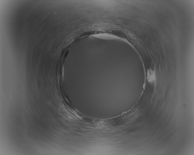 X0000070171155200605261148
