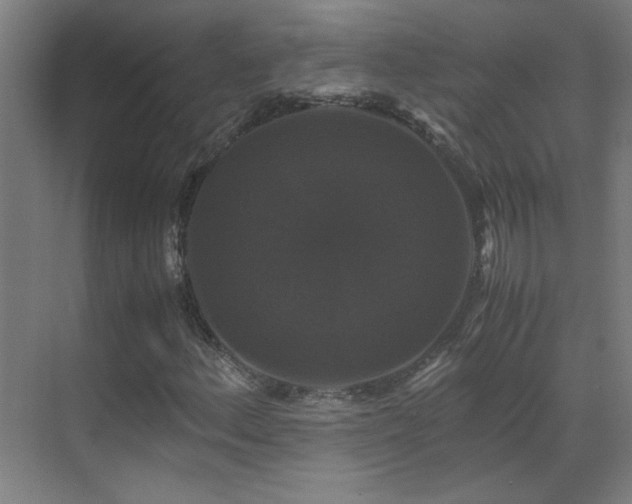 X0000070171156200605261148