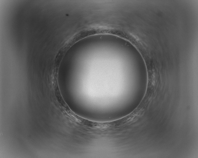 X0000070171157200605261148