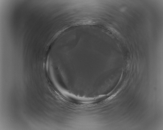 X0000070171161200605261148
