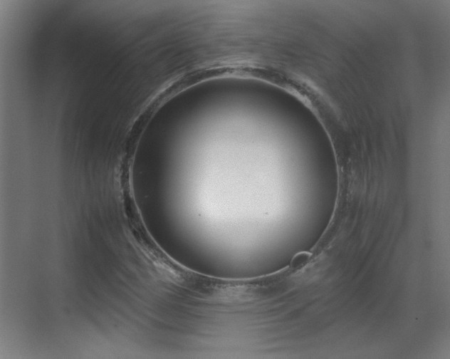 X0000070171162200605261148