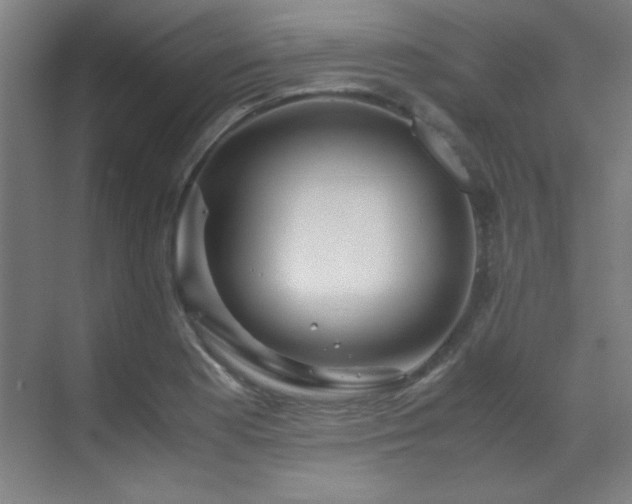 X0000070171177200605261148
