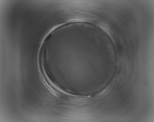 X0000070171179200605261148