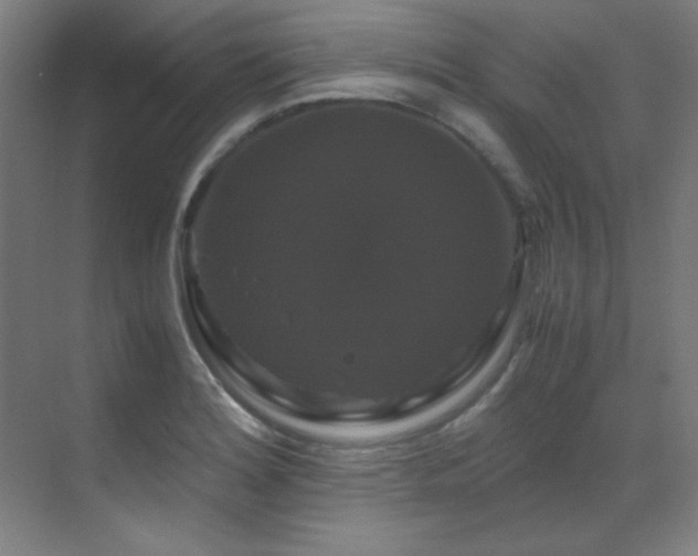 X0000070171180200605261148