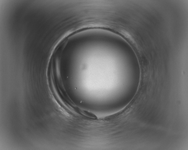 X0000070171181200605261148