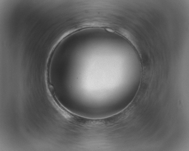 X0000070171187200605261148