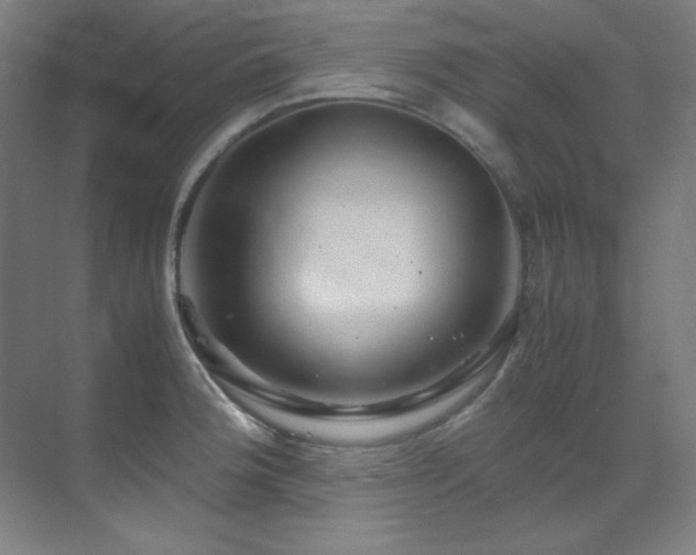 X0000070171188200605261148
