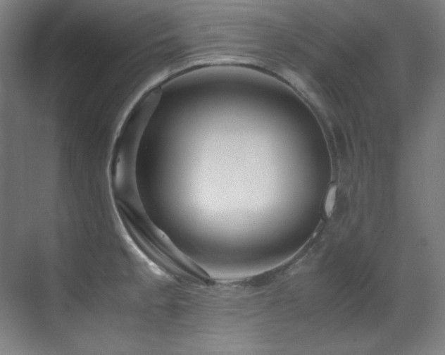 X0000070171189200605261148