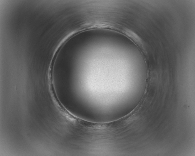 X0000070171190200605261148