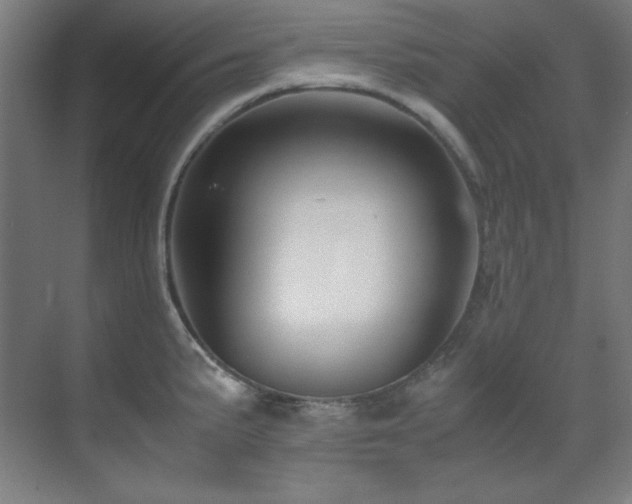 X0000070171191200605261148