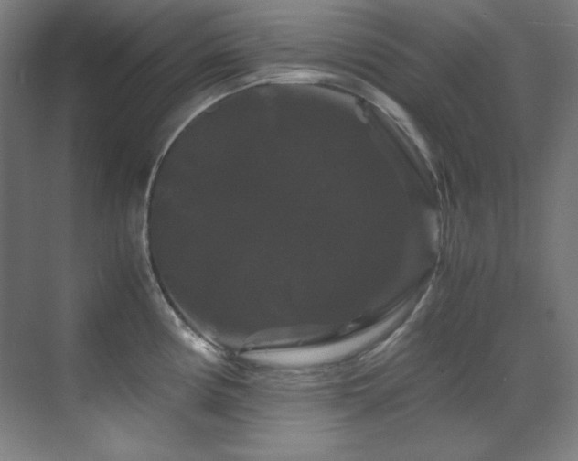 X0000070171194200605261148